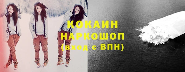 винт Богданович