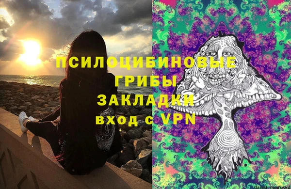 PSILOCYBIN Богородск