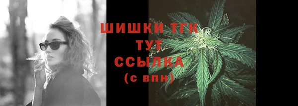 винт Богданович