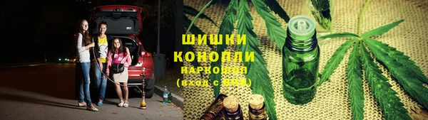 спайс Бородино