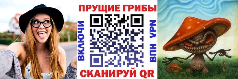 Псилоцибиновые грибы ЛСД что такое Новохопёрск